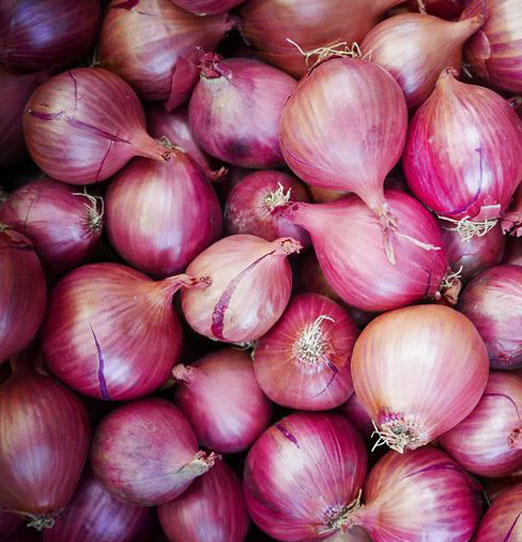 Fresh & Dehydrated Red Onion