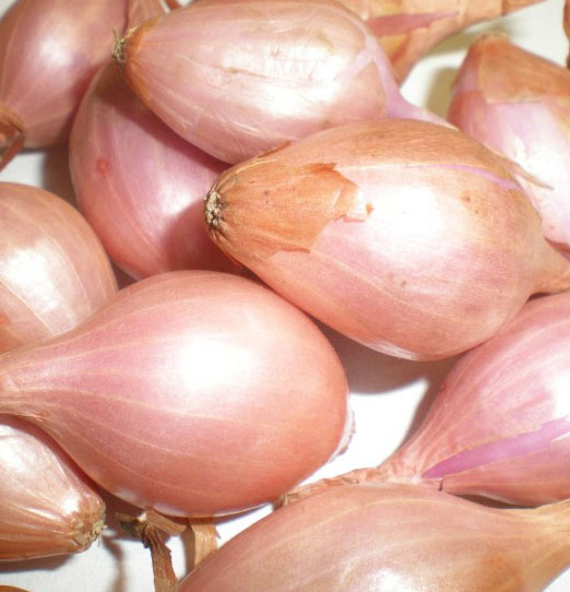 Fresh & Dehydrated Pink Onion
