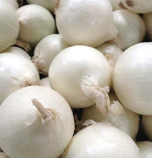Fresh & Dehydrated White Onion